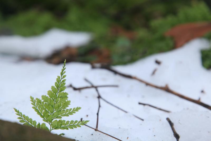 自然に文字が・・