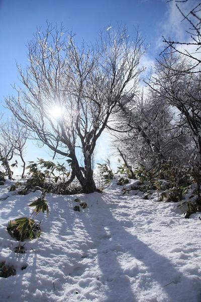 なんとはれてきました