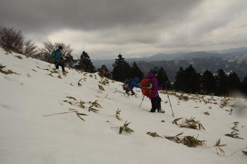 どんどんくだります