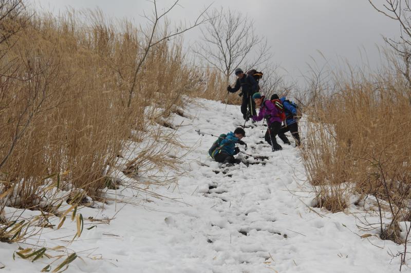 けっこう傾斜は急