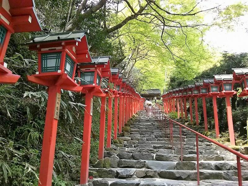 新緑の貴船神社　