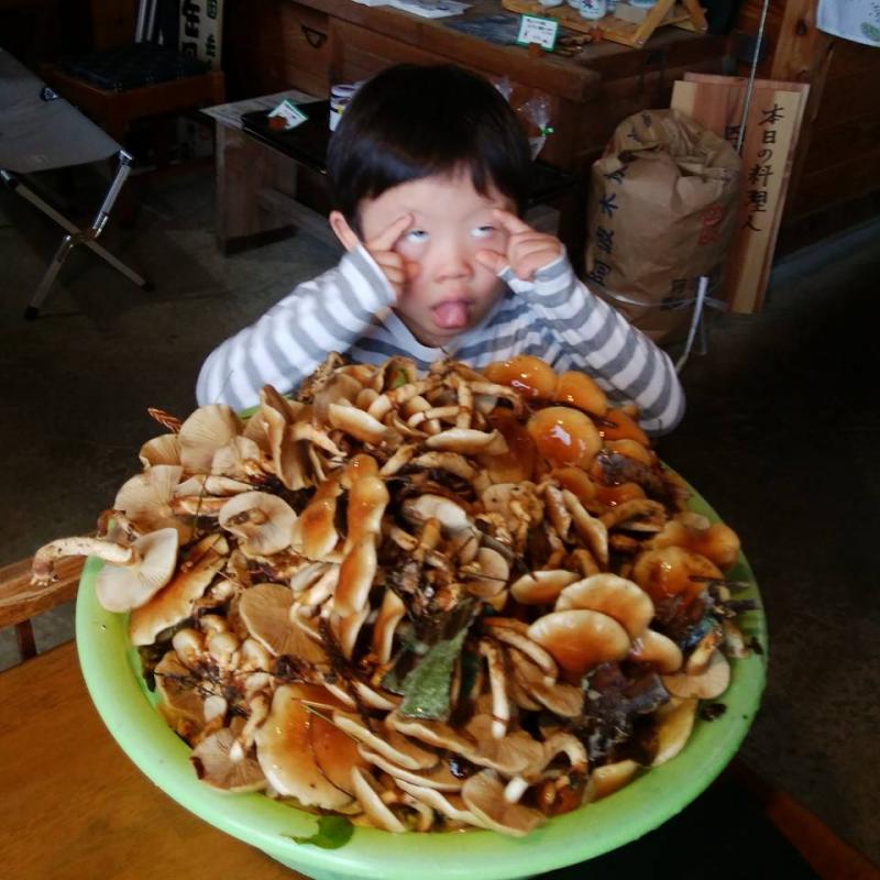 このなめこ、こんなに大きい　香り豊です