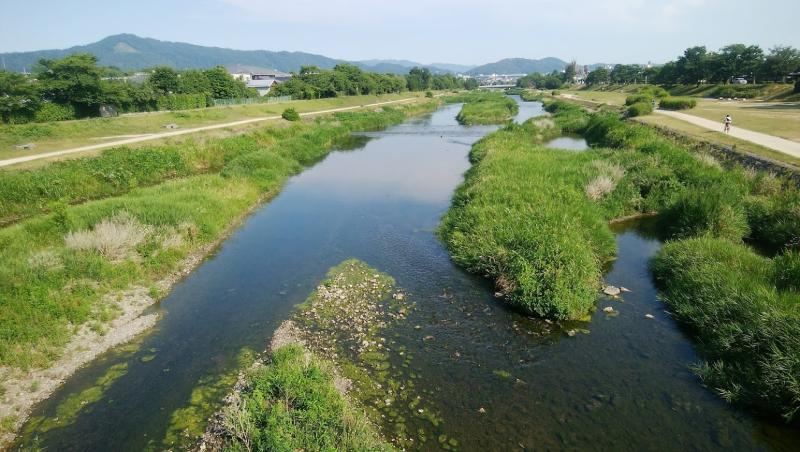 鴨川より