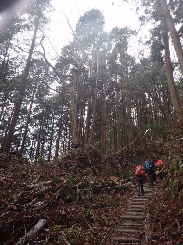 水越峠登り　階段が整備され初心者も安心
