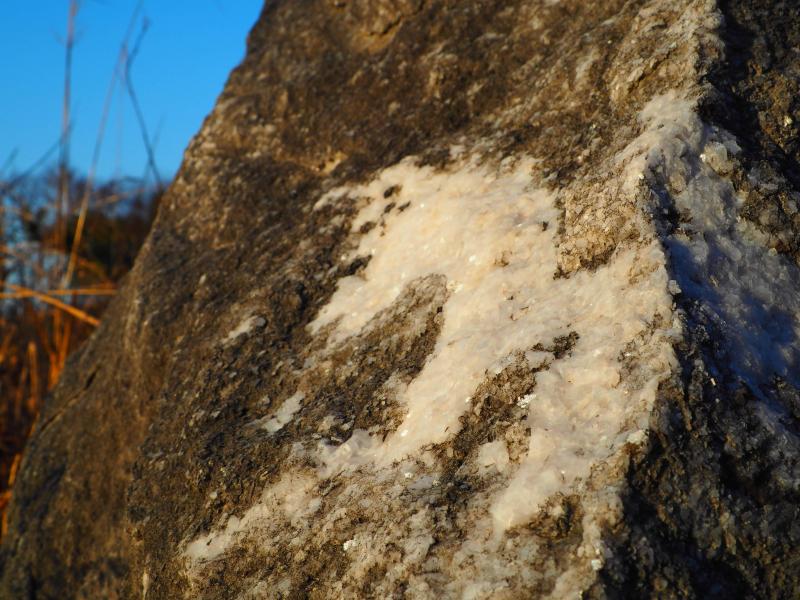 石灰岩から結晶がこんにちは