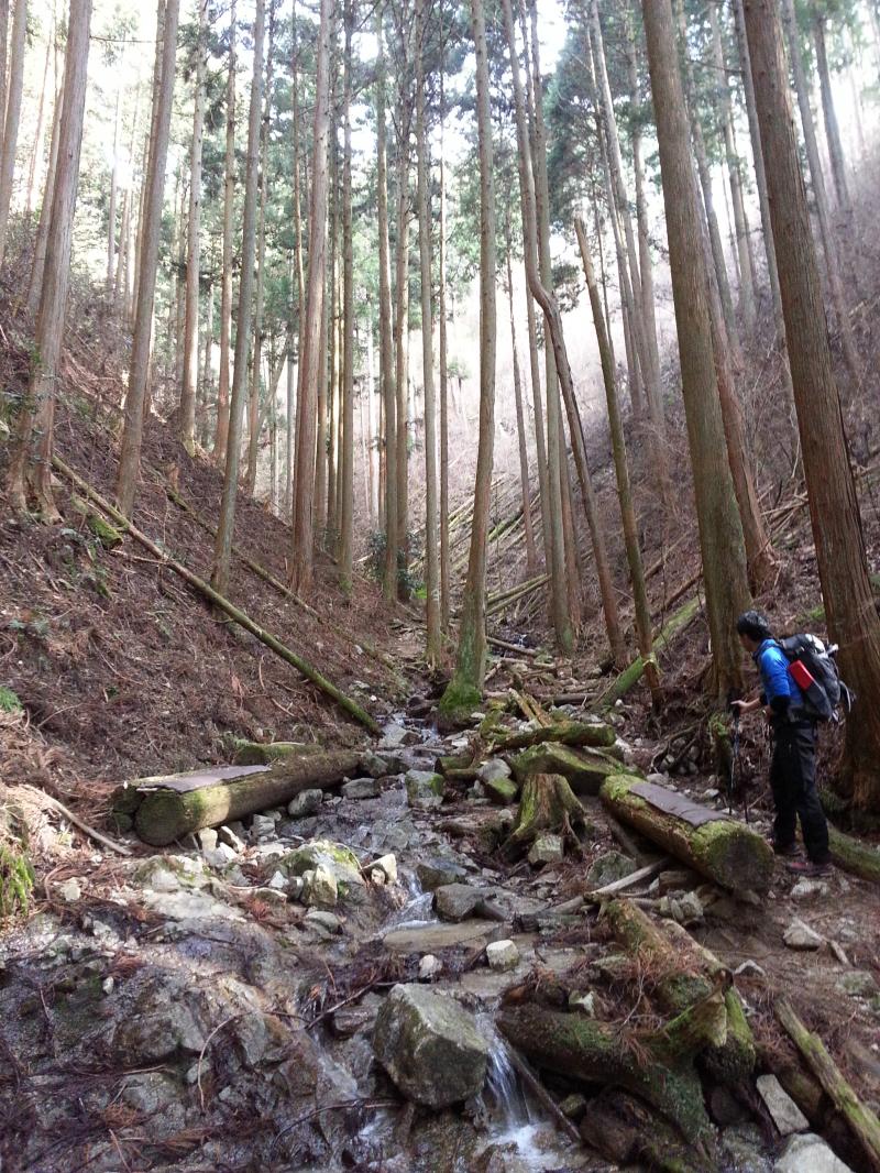 沢沿いを進む