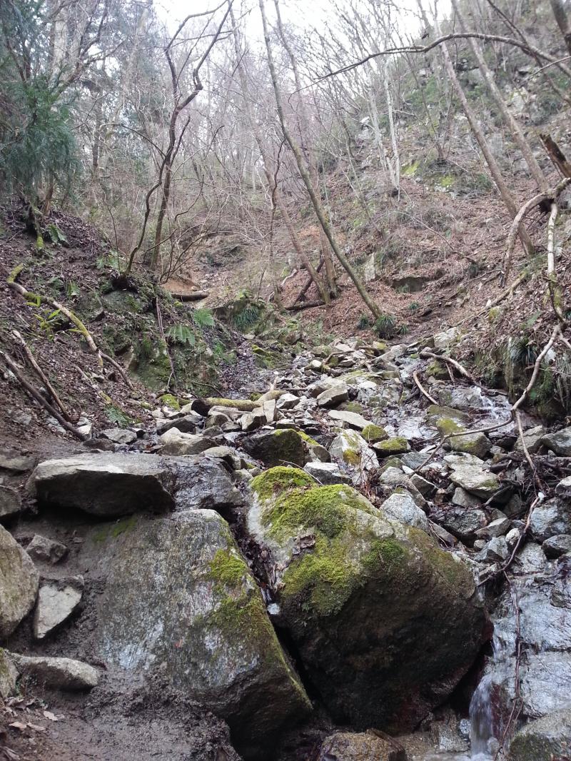 沢沿いを下ります