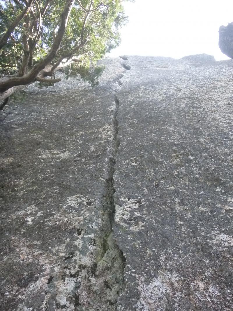 ２P目　写真では伝わらない美しさ