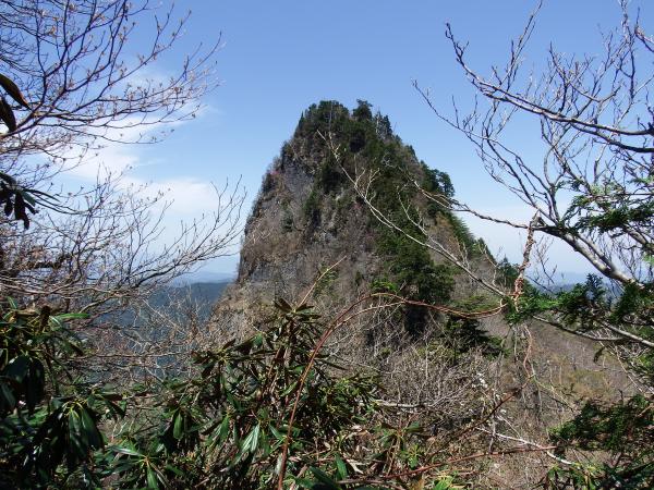 稲村ヶ岳の登山道から見える大日山