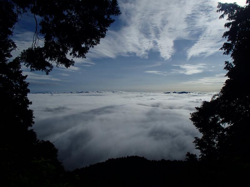 奈良側の雲海