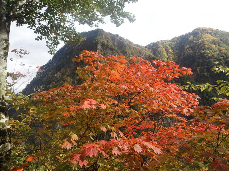 奥鐘山と紅葉