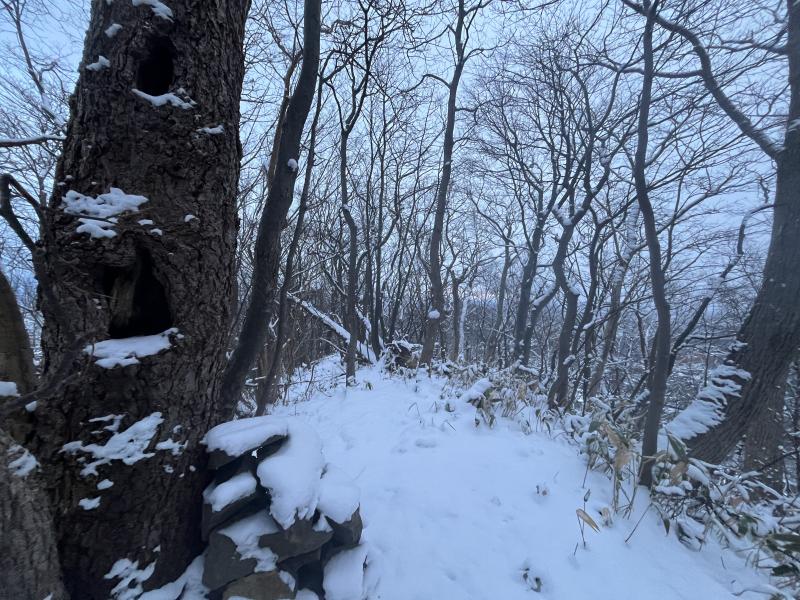 神社山 山頂です。