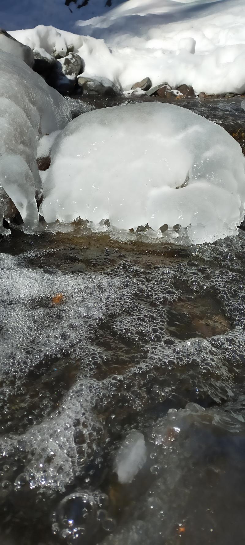 クラゲのような氷が川にたくさん