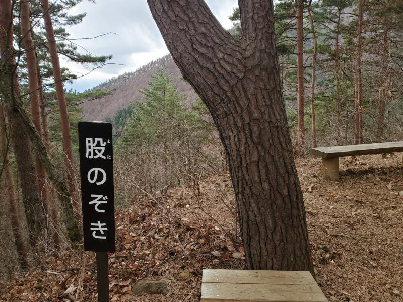 ここの木から本来は富士山が望めるはずなのですが・・・