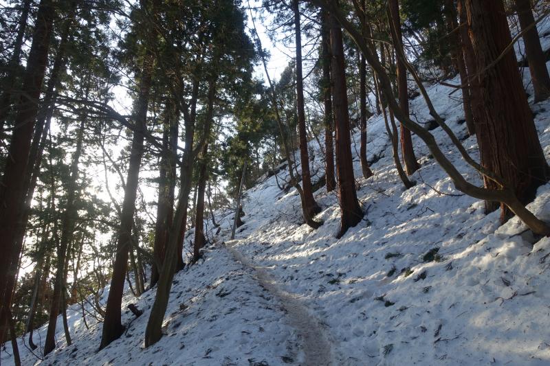 雪が閉まっています。歩きやすい