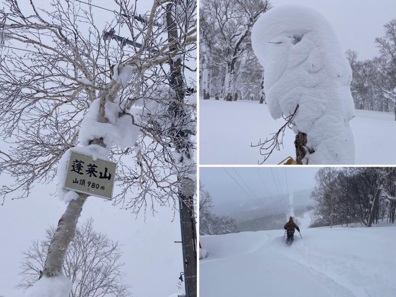 蓬莱山。