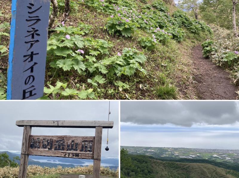 伊達紋別岳。