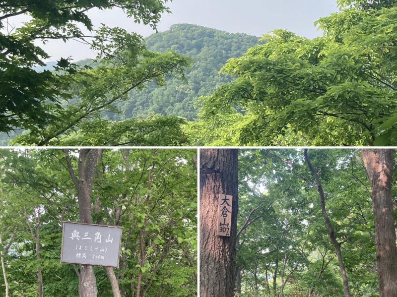 よこして山。