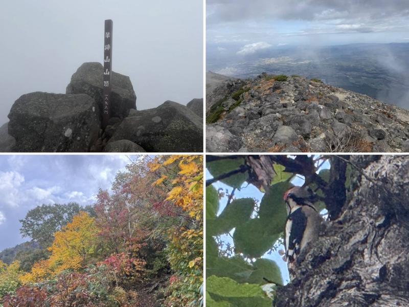 今シーズン４回目の羊蹄山。