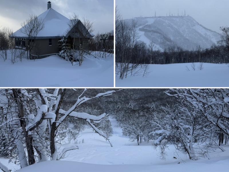 ネオパラ朝活。