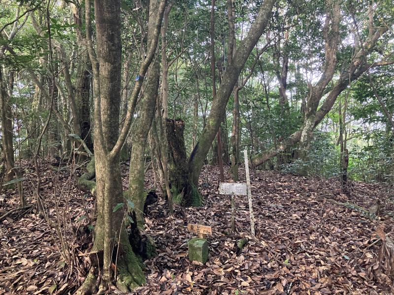 東岳。展望はなし