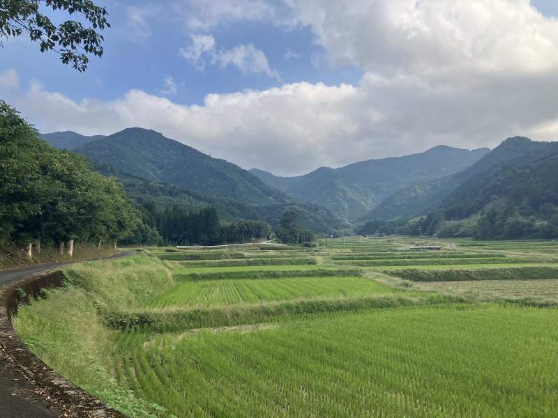歩いた道を振りかえってパシャリ