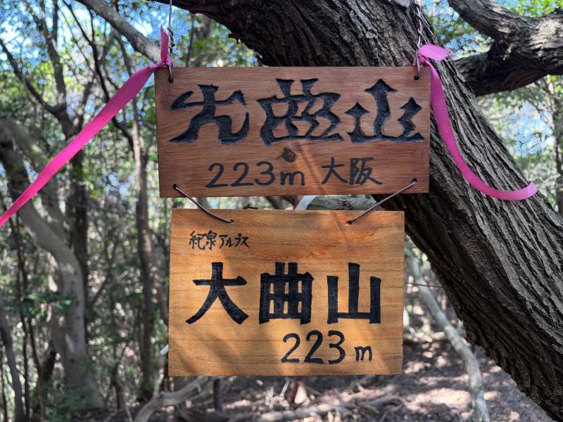 大曲感がすごい 大曲感がすごい
