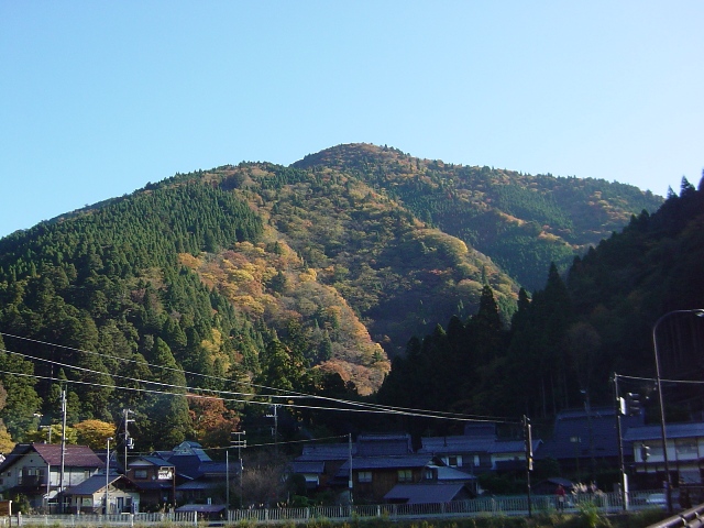 紅葉の御殿山方面