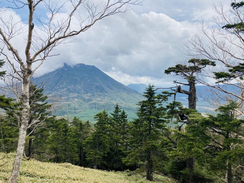 山王帽子山から望む男体山