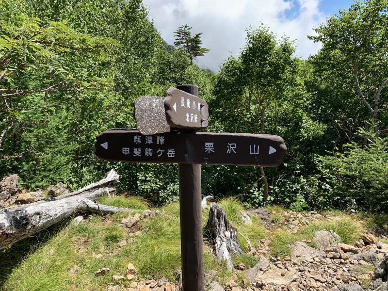仙水峠から登りがきつくなります