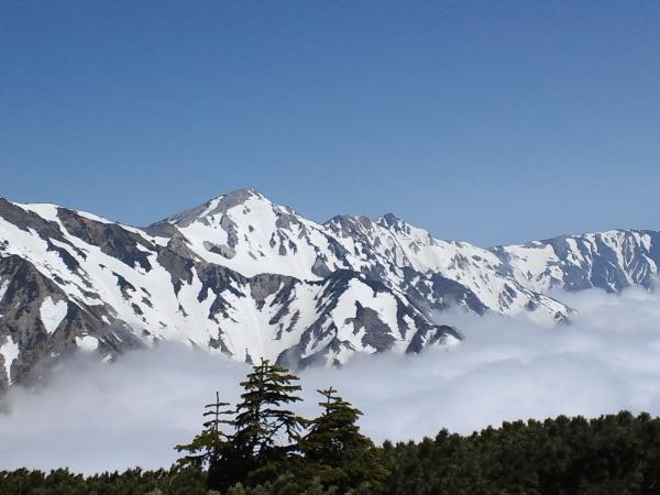 唐松岳からの下りで見た白馬三山　美しい姿です