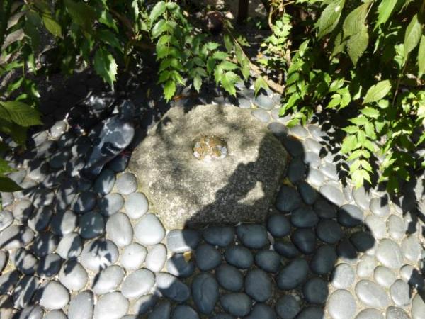 京都の真ん中へそ石