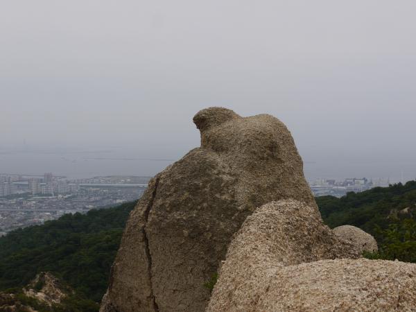 ロックガーデンの中でも異彩を放つ岩