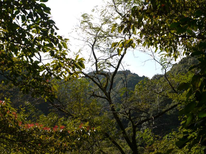 高雄山は六甲全山縦走路からはずれておりひっそりとした佇まいです