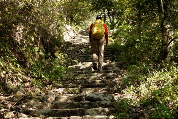 杣谷峠までは石段をたくさん歩きます。