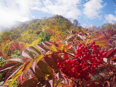 ドンピシャ紅葉ビンゴッ!!