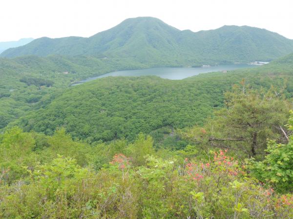 姥子山山頂から