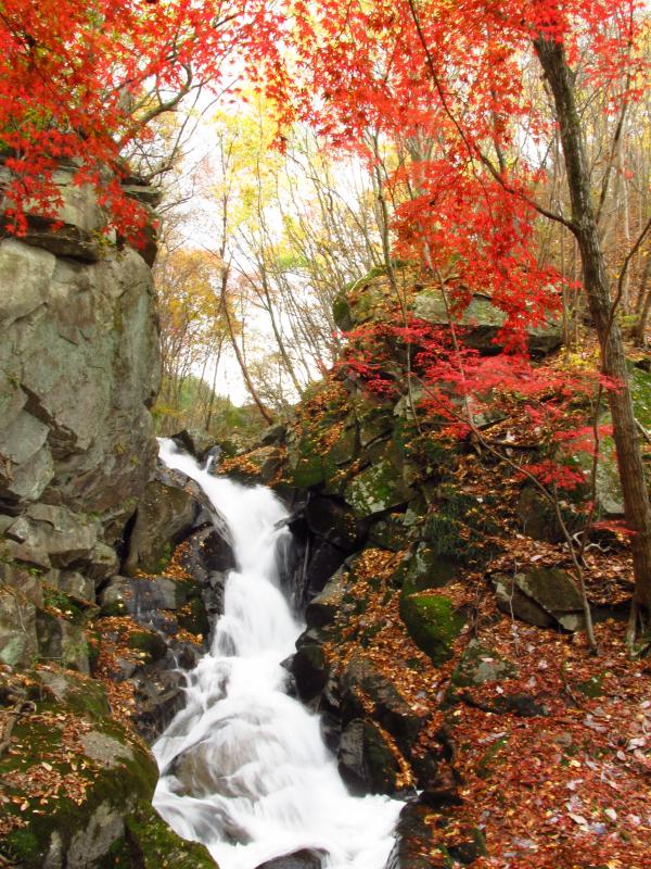 銚子の口滝の紅葉