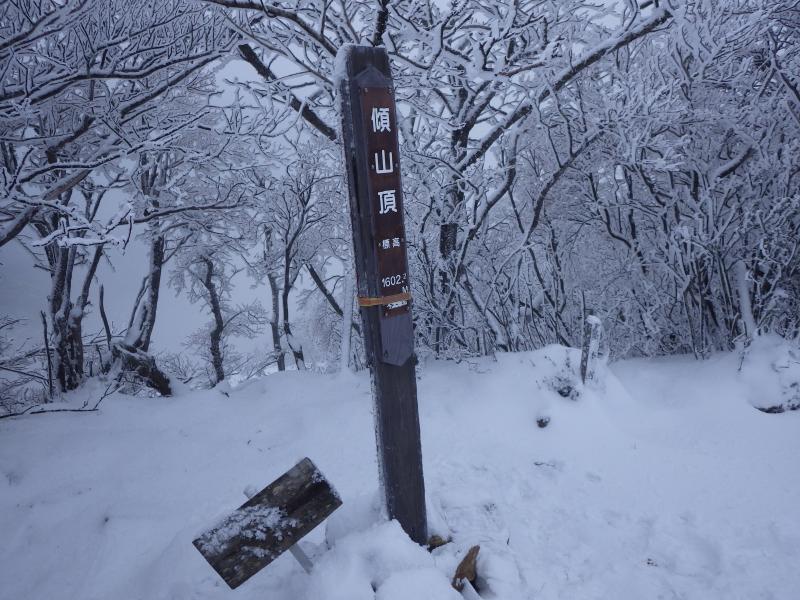 こんなに雪が降っているとは、、、