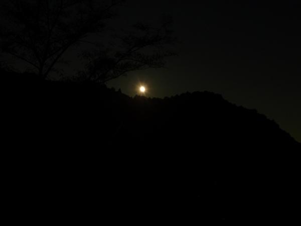 寝待の月の影が差す頃、そっと出かけてみました。