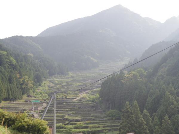大代地区の千枚田です。