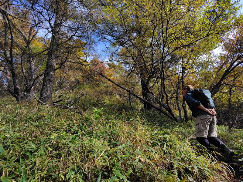 秋の山あるき