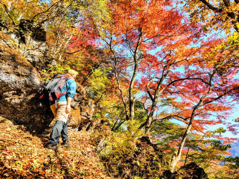 鮮やかな色彩に、思わず息をのむ