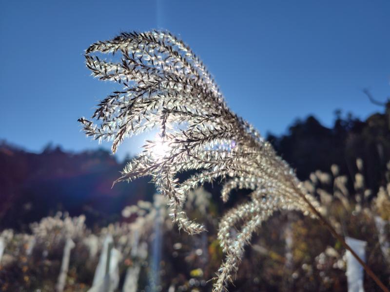 キラキラ、きれい。